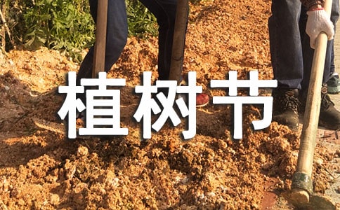 植树节口号